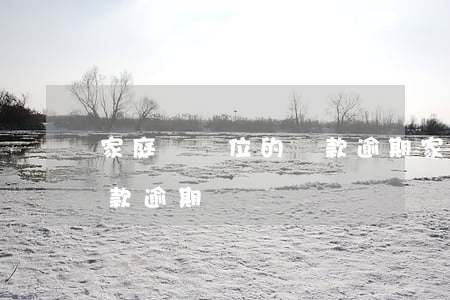 家庭為單位的貸款逾期(家人用自己的名義貸款逾期)