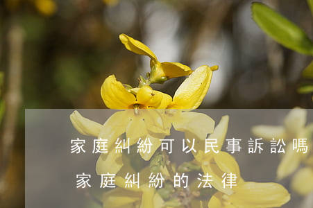 家庭糾紛可以民事訴訟嗎(關(guān)于家庭糾紛的法律)