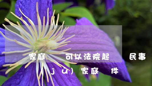 家庭糾紛可以法院起訴嗎(民事糾紛判決會根據(jù)家庭條件嗎?)