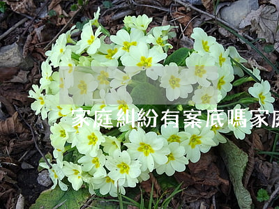 家庭糾紛有案底嗎(家庭官司有沒有案底)