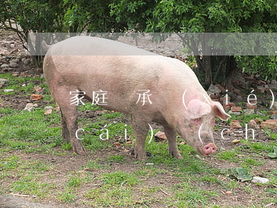 家庭繼承協(xié)議書怎么寫(繼承財(cái)產(chǎn)協(xié)議書怎么寫才有效)
