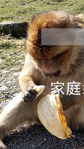 家庭裝修小常識