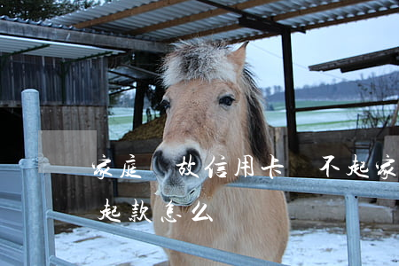 家庭變故信用卡還不起 家庭變故信用卡還不起款怎么辦