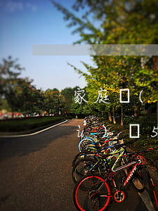 家庭負(fù)債50萬-一個家庭負(fù)債50萬