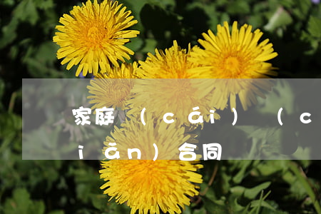 家庭財(cái)產(chǎn)保險(xiǎn)合同