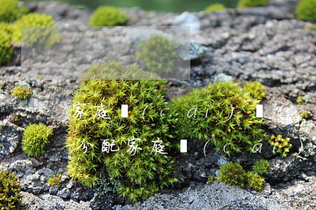 家庭財(cái)產(chǎn)子女繼承分配(家庭財(cái)產(chǎn)的繼承)