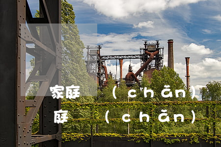 家庭財產(chǎn)糾紛怎么解決(婚姻家庭財產(chǎn)糾紛)