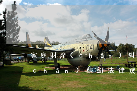 家庭財產(chǎn)糾紛法律(家庭財產(chǎn)糾紛法律幾點(diǎn)立案)