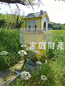 家庭財產(chǎn)險條款