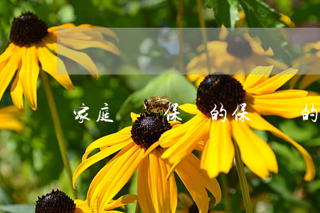 家庭財產保險的保險標的
