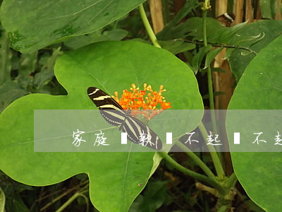 家庭貸款還不起(還不起貸款了)