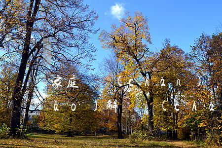家庭遺產(chǎn)糾紛找哪里調(diào)解(遺產(chǎn)糾紛怎么起訴)