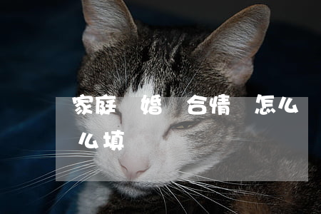 家庭離婚綜合情況怎么寫(離婚后家庭情況怎么填)