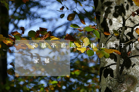 家暴不追责法律上属于什么(法律规定什么是家暴)