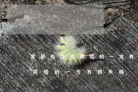 家暴先提出离婚的一方有损失吗(家暴先提出离婚的一方有损失吗)