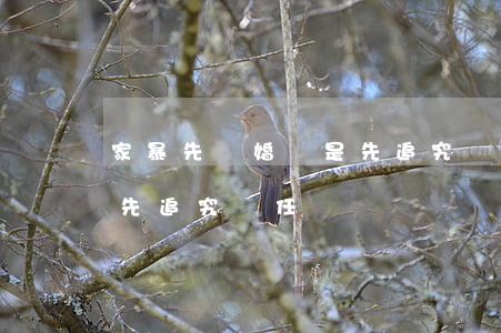 家暴先離婚還是先追究責任(家暴先離婚還是先追究責任)