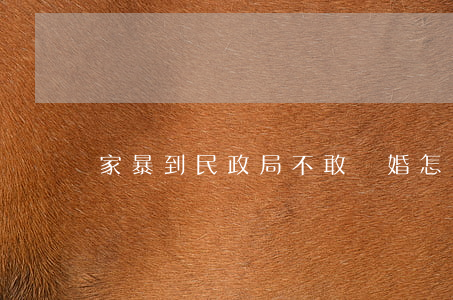 家暴到民政局不敢離婚怎么辦
