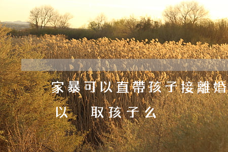 家暴可以直帶孩子接離婚嗎(家暴報警離婚可以爭取孩子么)