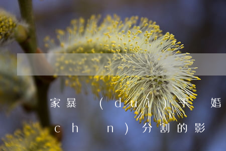 家暴對(duì)于離婚財(cái)產(chǎn)分割的影響有多大
