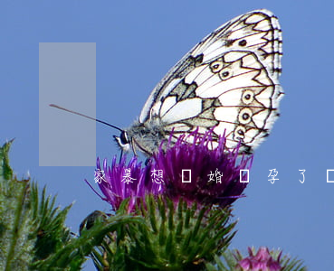 家暴想離婚懷孕了該怎么辦