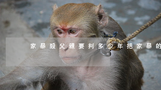 家暴殺父親要判多少年(把家暴的父親殺了)