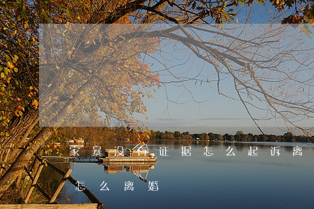 家暴没有证据怎么起诉离婚(家暴没有留证据怎么离婚)