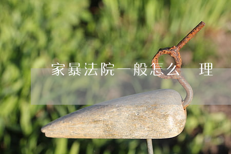 家暴法院一般怎么處理