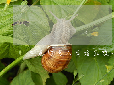 家暴的男人离婚后改吗