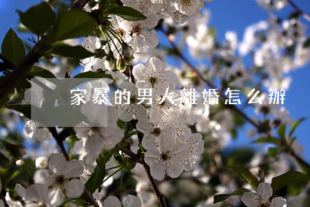家暴的男人離婚怎么辦