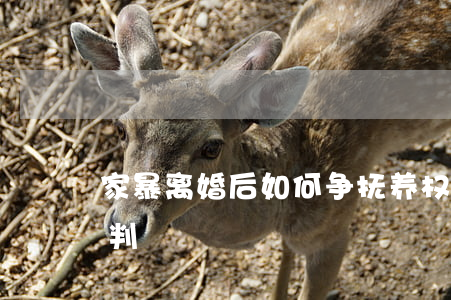 家暴离婚后如何争抚养权(家暴离婚法律怎么判)