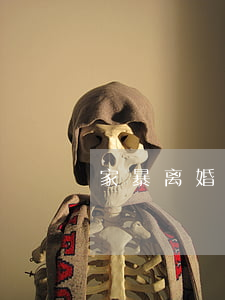 家暴离婚怎么处理(家暴离婚怎么处理娃娃)