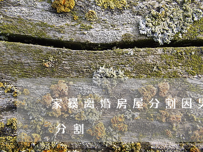 家暴离婚房屋分割(因男方家暴女方离婚财产分割)