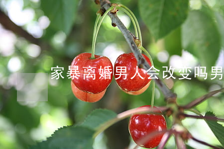 家暴离婚男人会改变吗(男人家暴要不要离婚)