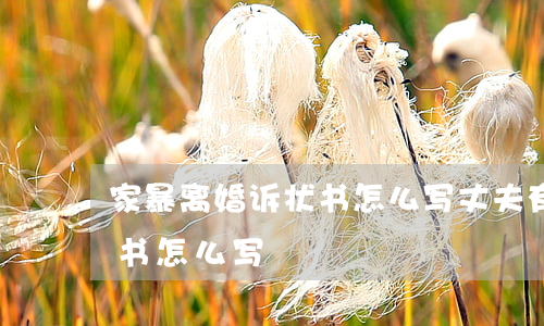 家暴离婚诉状书怎么写(丈夫有家暴离婚诉状书怎么写)