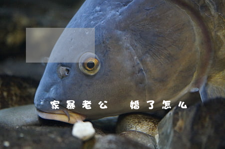 家暴老公離婚了怎么辦