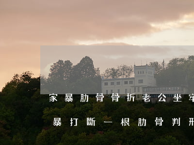 家暴肋骨骨折老公坐牢沒(méi)離婚(家暴打斷一根肋骨判刑嗎)