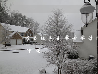 家暴被判刑要必要请律师吗(家暴可以告他坐牢吗)