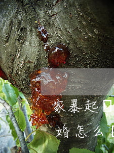 家暴起訴離婚怎么尋求司法援助(家暴起訴離婚怎么尋求司法援助)
