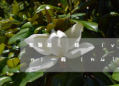 家暴起訴離婚撫養(yǎng)權(quán)一般會(huì)判給誰(家暴起訴離婚多久可以判離婚)