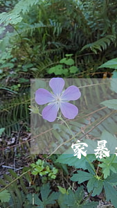 家暴起訴離婚的需要多少錢