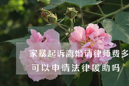 家暴起诉离婚请律师费多少钱(家暴起诉离婚可以申请法律援助吗)