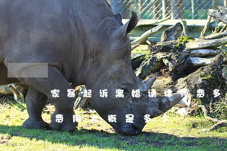 家暴起诉离婚请律师费多少钱(家暴起诉离婚费用大概是多少)