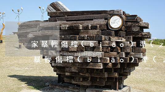 家暴輕傷標(biāo)準(zhǔn)(家暴輕傷標(biāo)準(zhǔn)青紫圖片)