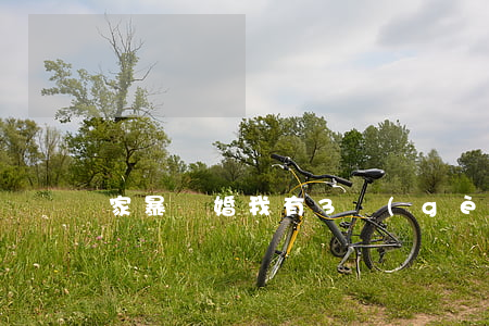 家暴離婚我有3個(gè)小孩怎么辦