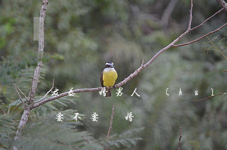家暴離婚男人會(huì)改變嗎(男人家暴要不要離婚)