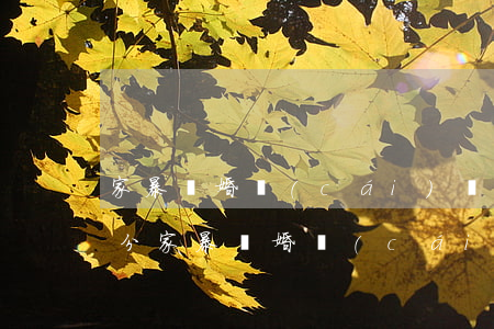 家暴離婚財(cái)產(chǎn)怎么分(家暴離婚財(cái)產(chǎn)怎么分債務(wù)怎么辦)