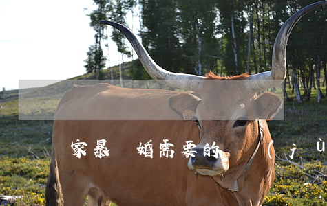 家暴離婚需要的證據(jù)有哪些