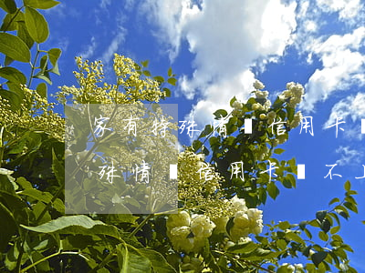 家有特殊情況信用卡還不上被起訴-家有特殊情況信用卡還不上被起訴怎么辦