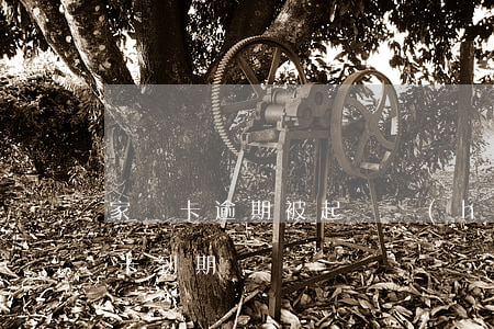 家樂卡逾期被起訴會(huì)坐牢嗎(家樂卡到期)