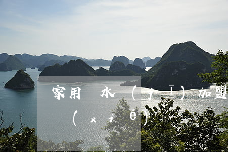 家用純水機(jī)加盟服務(wù)中心協(xié)議書